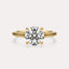 Cathedral Solitaire Engagement Ring